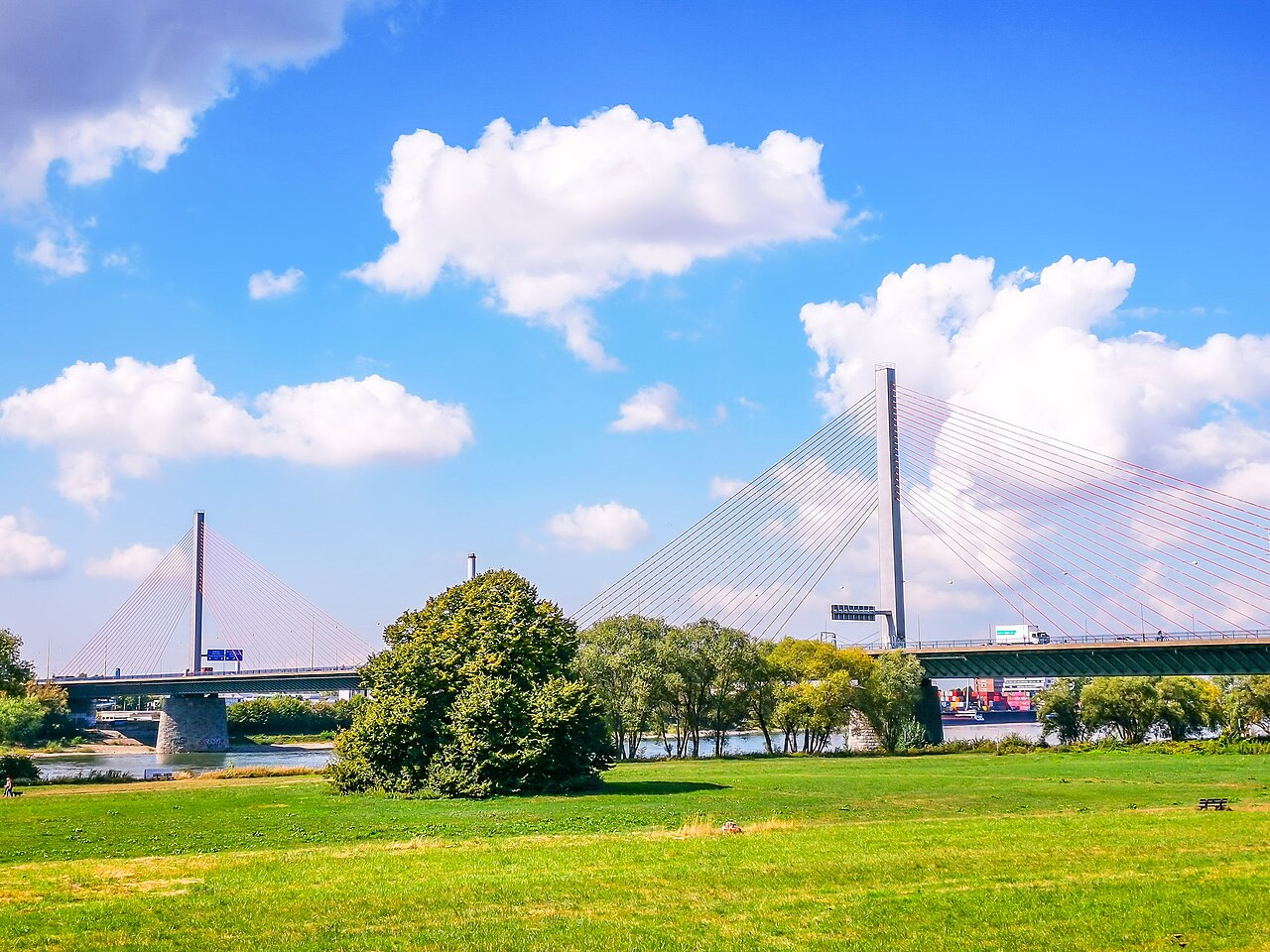 Die Friedrich-Ebert-Brücke (Nordbrücke) in Bonn von der Rheinpromenade aus gesehen, mit den charakteristischen Schrägseil-Pylonen.