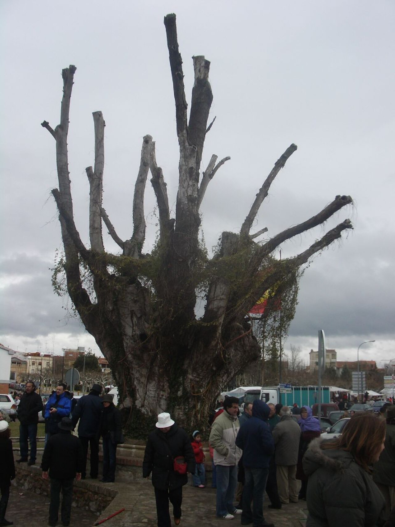 Der Brunnen Árbol Gordo im Zentrum von Ciudad Rodrigo, an dem in der Nacht zum Montag ein 13-Jähriger nach dem Einsturz des oberen Beckens ums Leben kam.