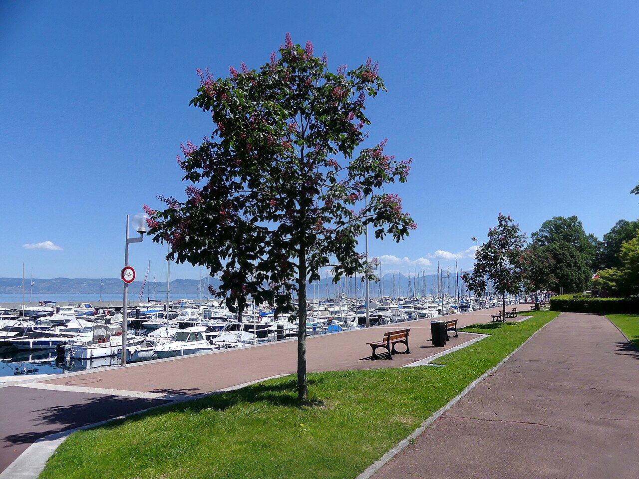Hafen und Promenade von Évian-les-Bains am Südufer des Genfersees am Morgen.
