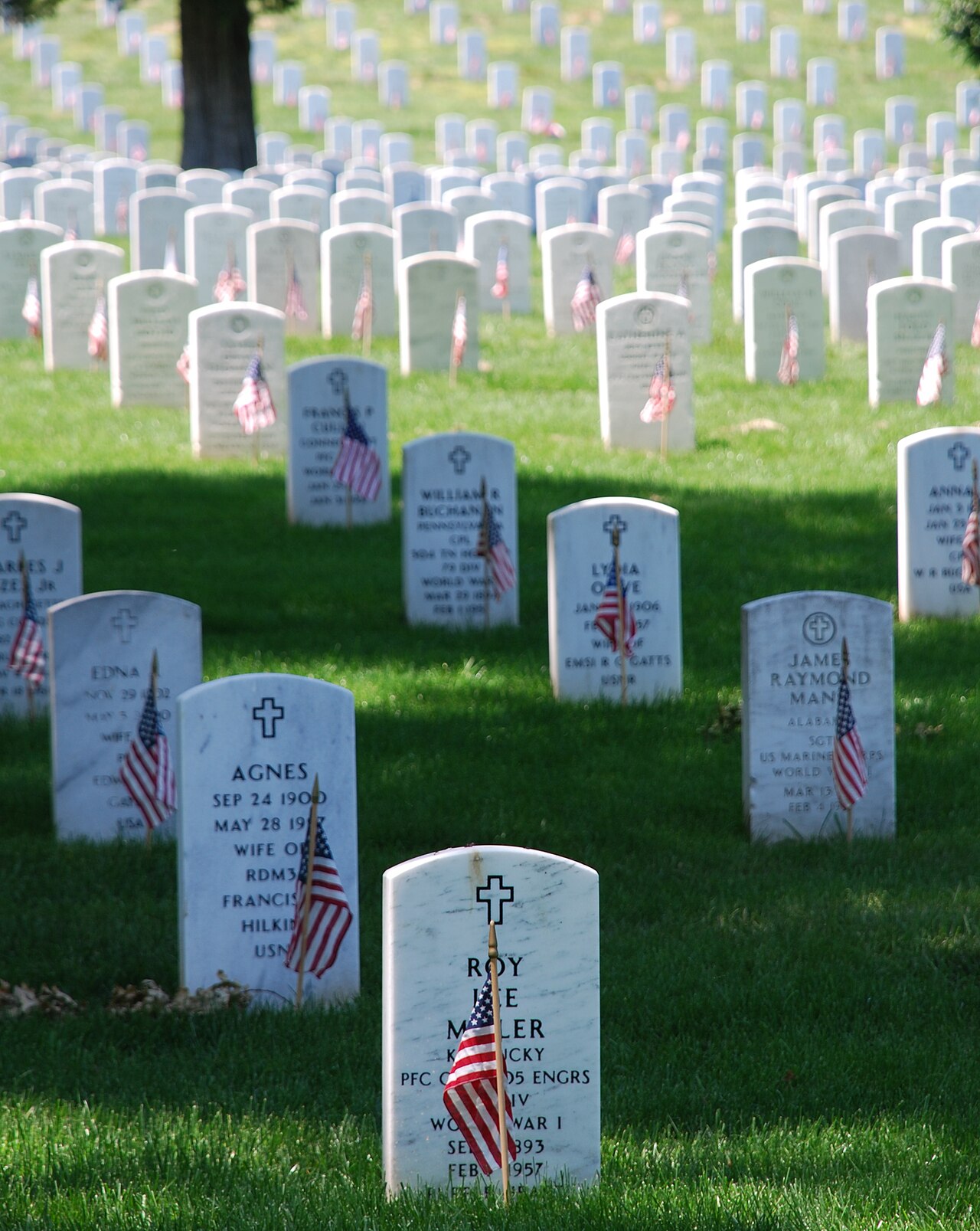 Mit US-Flaggen geschmückte Soldatengräber auf dem Nationalfriedhof Arlington zum Memorial Day.