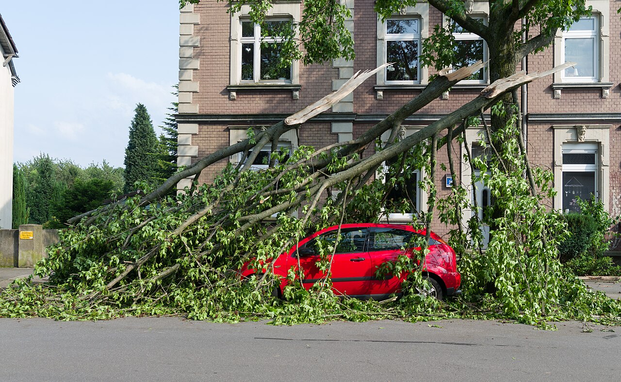Ein von einem entwurzelten Baum begrabenes Auto nach einem Unwetter in Mülheim an der Ruhr