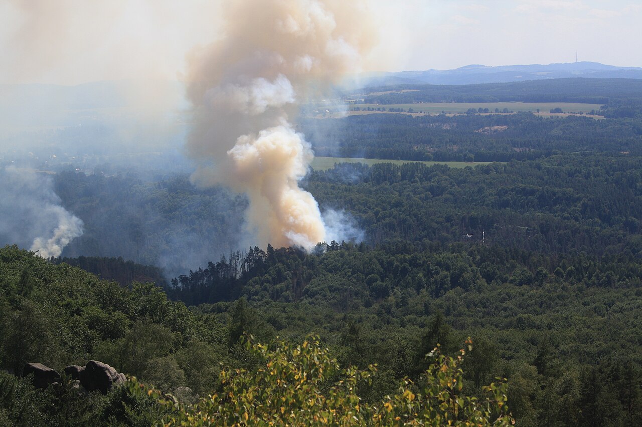Entstehungsbrand des Waldbrandes im Nationalpark Sächsische Schweiz im Juli 2022, aufgenommen von der Kipphornaussicht