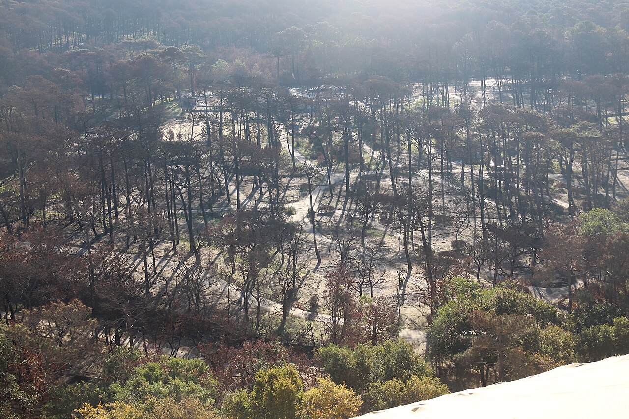 Abgebrannte Campingplätze an der Dune du Pilat nach dem Waldbrand in der Gironde, November 2022