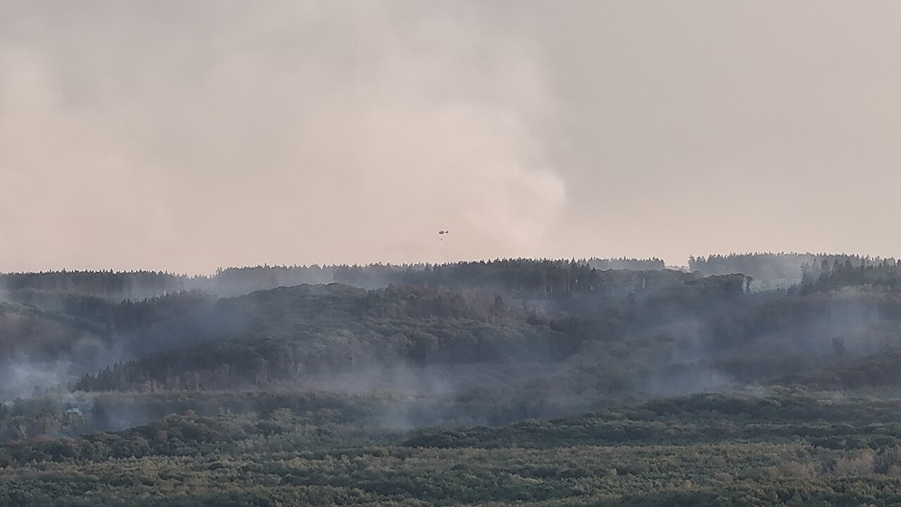 Luftaufnahme des Waldbrandes im Hürtgenwald, aufgenommen aus Derichsweiler am 14. August 2026