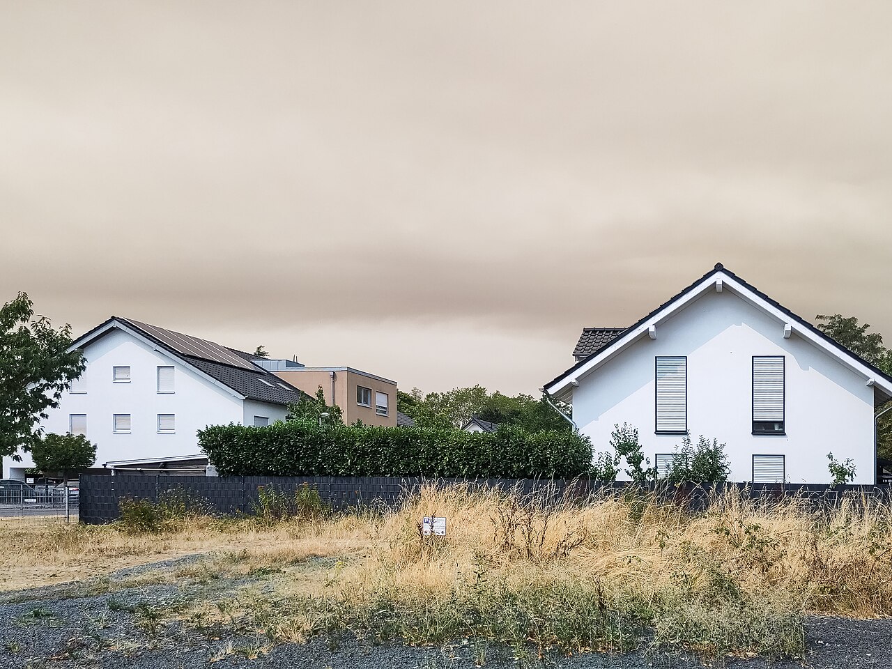Rauchwolken vom Waldbrand im Hürtgenwald, gesehen vom Rhein-Sieg-Kreis am 15. August 2026