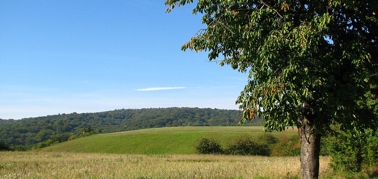 Blick vom Schlachtberg zum Schulzenberg in der Hohen Schrecke in Thüringen, dichte Buchenwald-Hänge unter ziehenden Wolken.